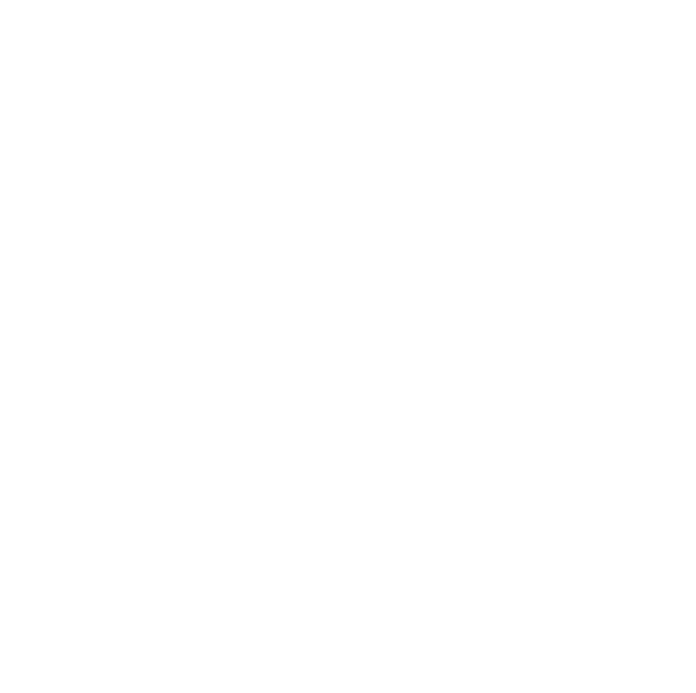Zago Store