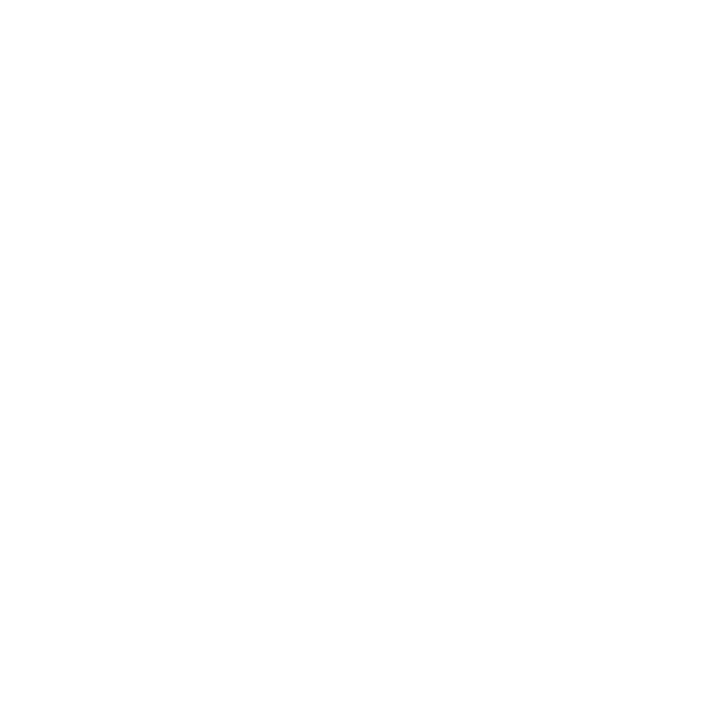 Zago Store